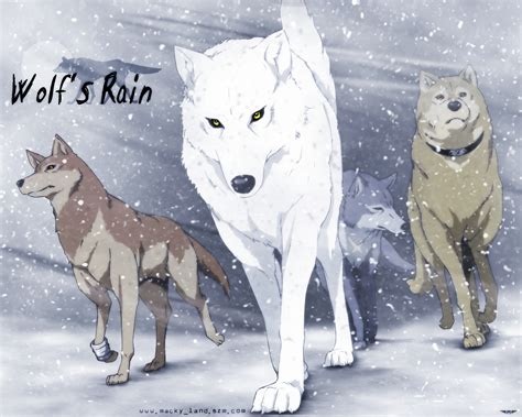 wolf's rain wallpaper|wolf's rain anime wallpaper.